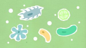 Skin Microbiome Skin Care